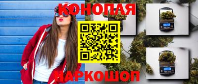дмт Краснодар