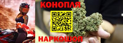дмт Краснодар