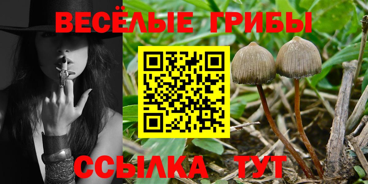 Псилоцибиновые грибы Magic Shrooms  Псилоцибиновые грибы мухоморы  Вход с VPN  Кисловодск 